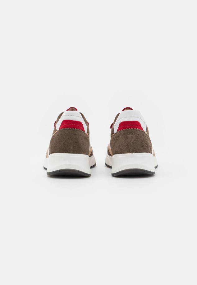 Gabor Trainers Tartufo/Rubin