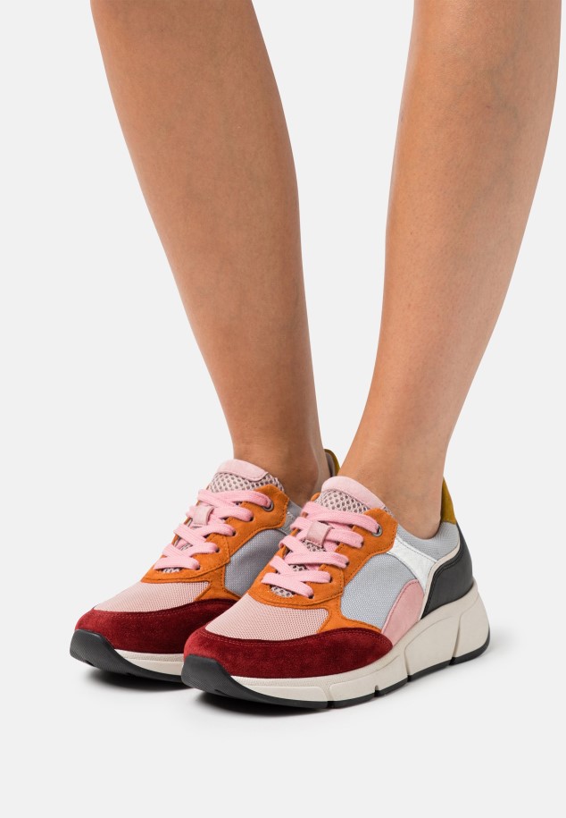 Trainers Gabor Latterosso