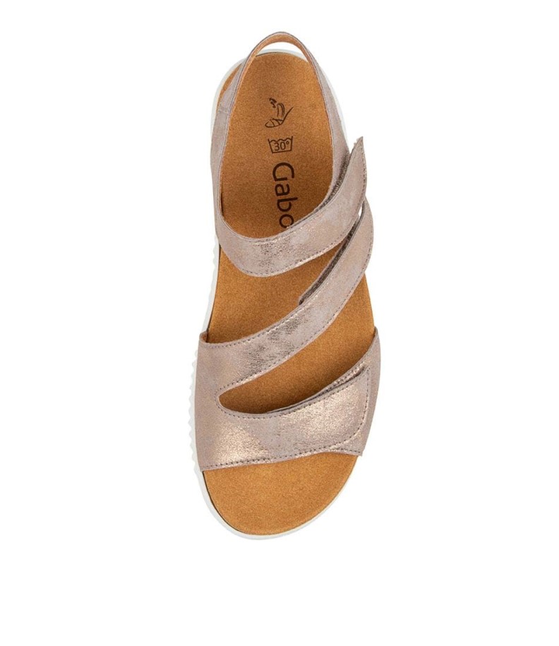 Gabor Brielle Muschel